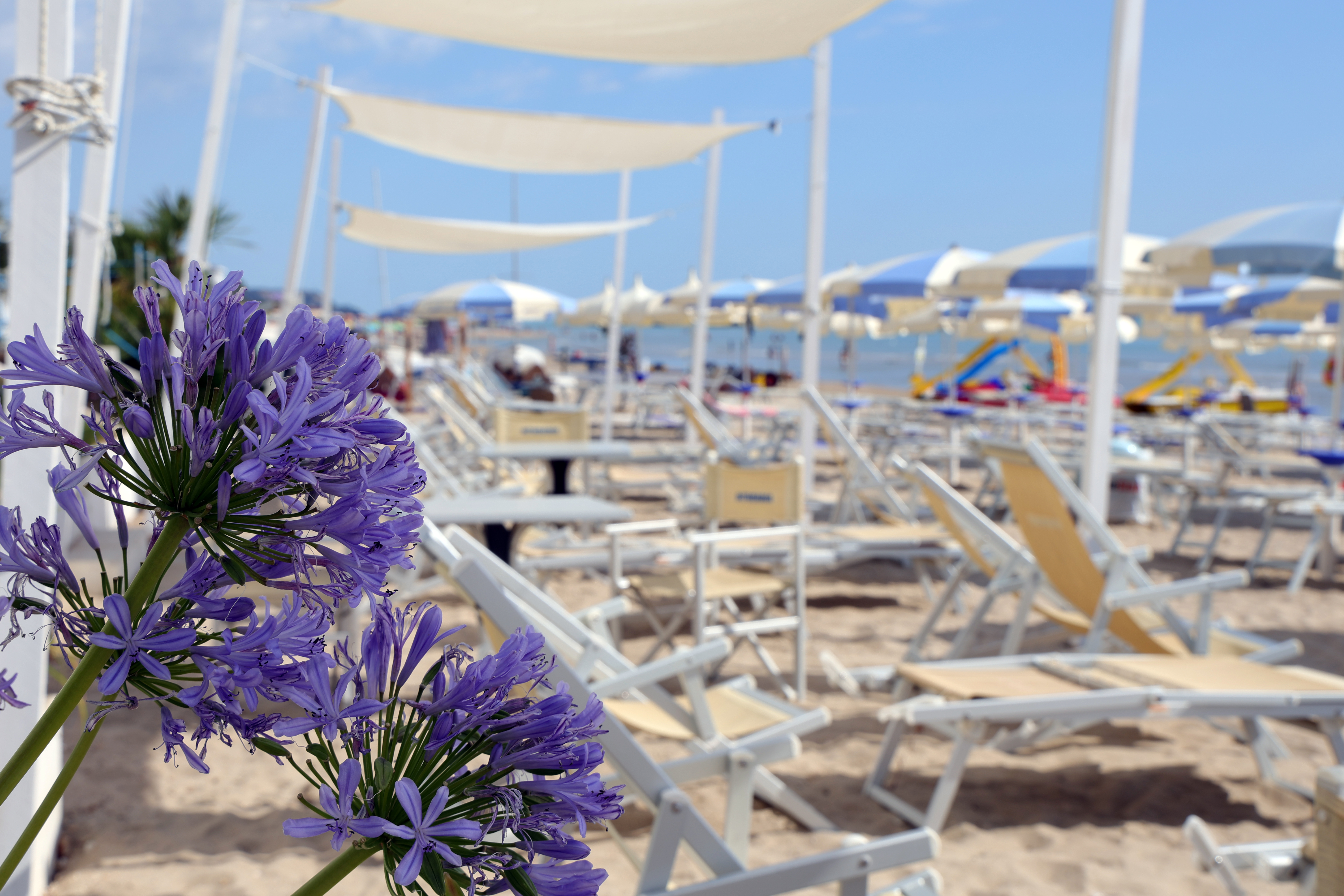 Offer, 26 July - 2 August, two-room apartment 2/4 places, only €680